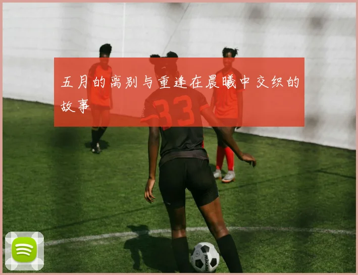 五月的离别与重逢在晨曦中交织的故事