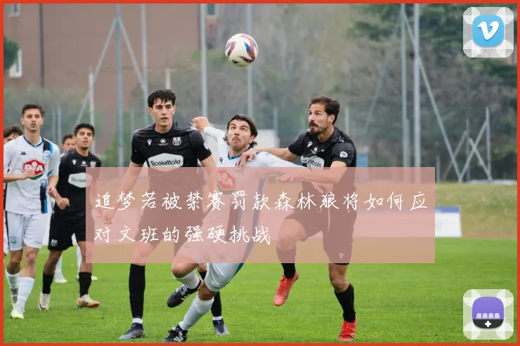追梦若被禁赛罚款森林狼将如何应对文班的强硬挑战