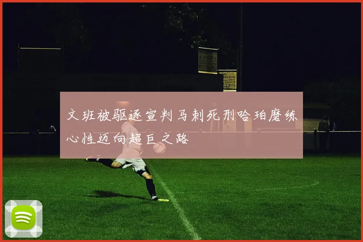 文班被驱逐宣判马刺死刑哈珀磨练心性迈向超巨之路